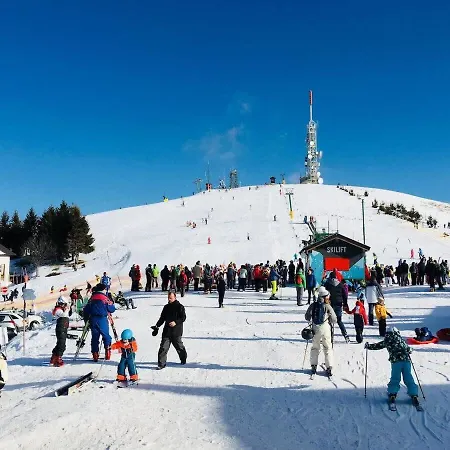 Appartement 18th Century With Fresco Lesa